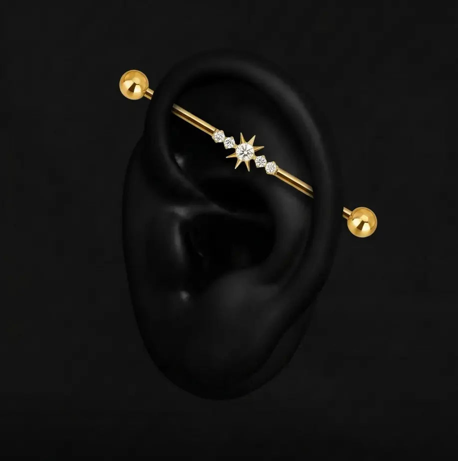 Piercing Solène - Barbells - Industriel Plumeria Piercing
