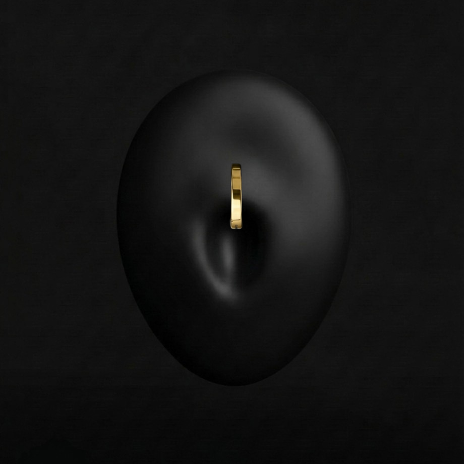 Piercing Viviane - Anneau - Nombril Plumeria Piercing