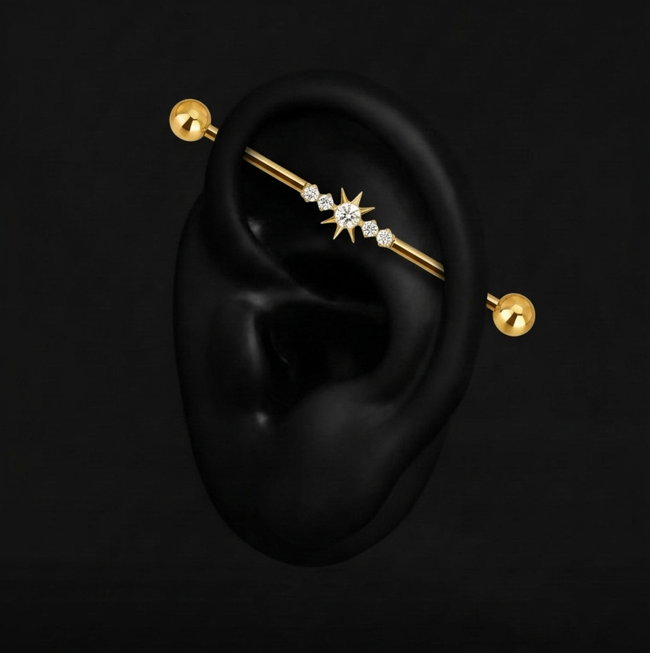 Piercing Solène - Barbells - Industriel Plumeria Piercing