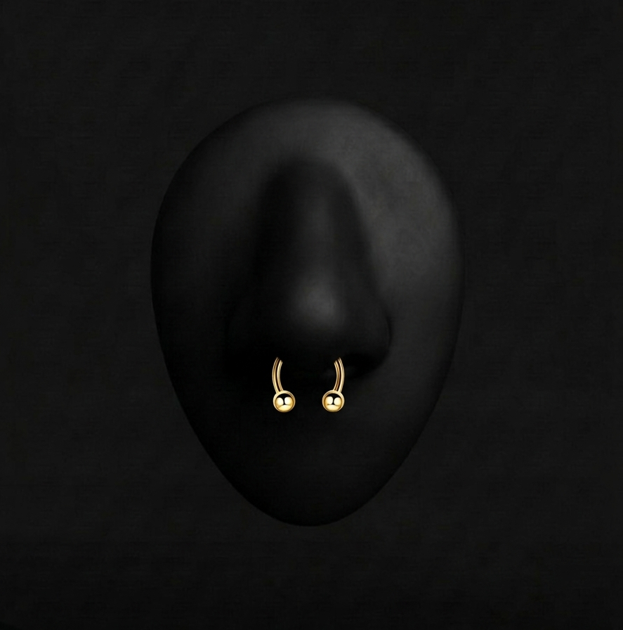 Piercing Noa - Fer à Cheval - Nez Plumeria Piercing