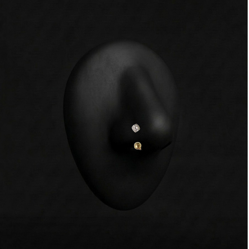 Piercing Samantha - Fer à Cheval - Nez Plumeria Piercing